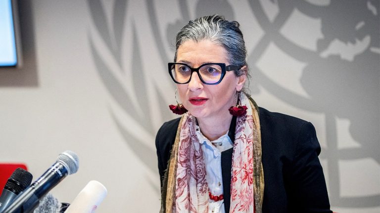 UN Report on Israel Faces Backlash, Author Criticized for Exceeding Role