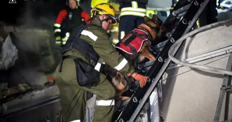 Rescuers with a dog work at a site of the apartment building hit by a Russian drone strike, amid Russia's attack on Ukraine, in Odesa, Ukraine in this handout picture released April 24, 2026. Press service of the State Emergency Service of Ukraine in Odesa region/Handout via REUTERS ATTENTION EDITORS - THIS IMAGE HAS BEEN SUPPLIED BY A THIRD PARTY. WATERMARK FROM SOURCE. MANDATORY CREDIT. BEST QUALITY AVAILABLE.