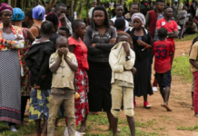 ADF Accused of Mass Atrocities, Forced Marriage in Eastern Congo