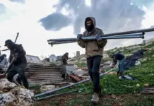 Settler Violence Decimates Palestinian Livestock Sector Across West Bank