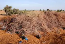 Drone Strikes Kill Dozens Across Sudan’s Kordofan as War Enters Fourth Year