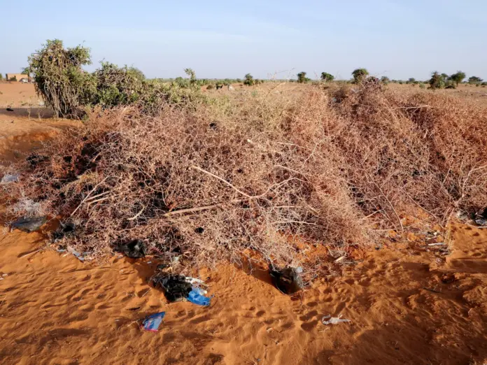 Sudan Kordofan drone strikes